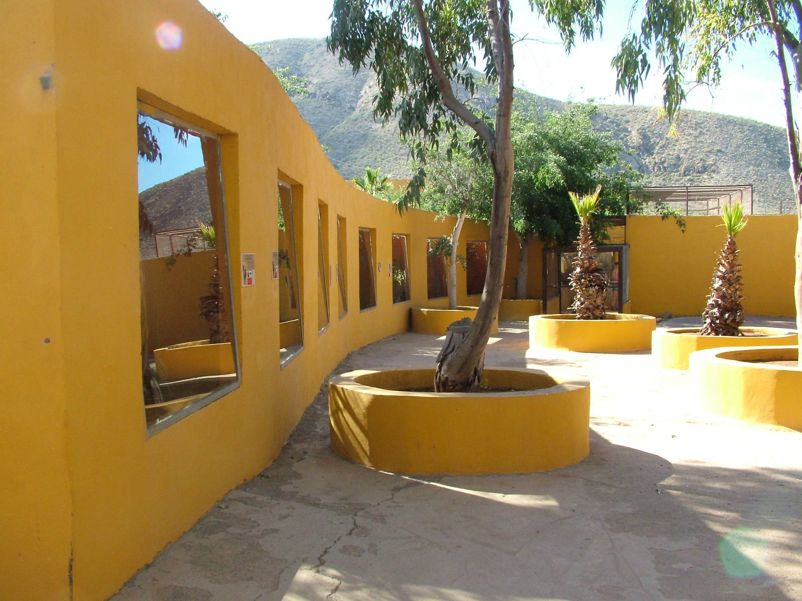 Marmoset Viewing at Monkey Park, 09/11/10