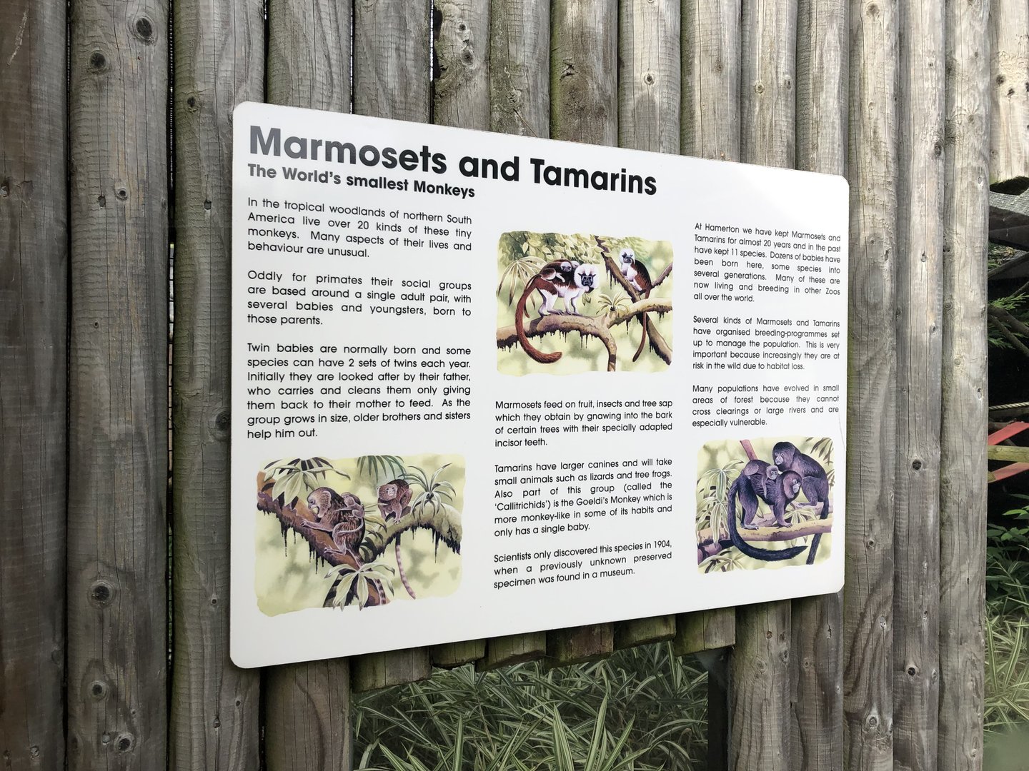 Marmosets and Tamarins Signage at Hamerton Zoo Park (October 2023)