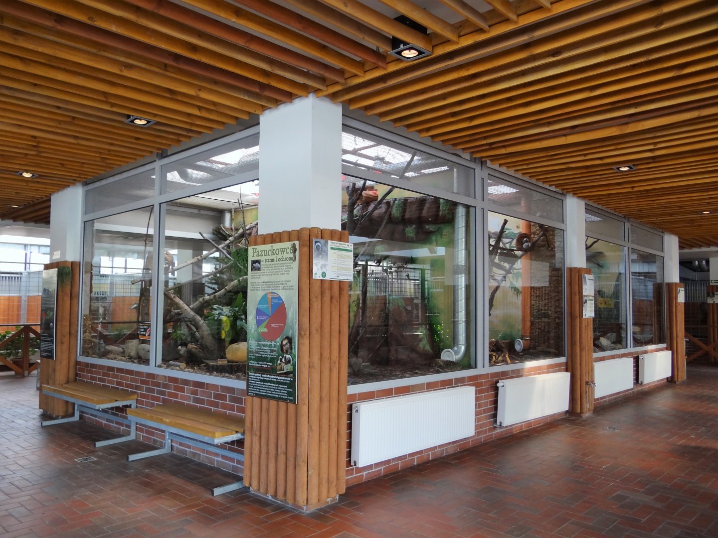 Marmosets exhibits inside Antelope House
