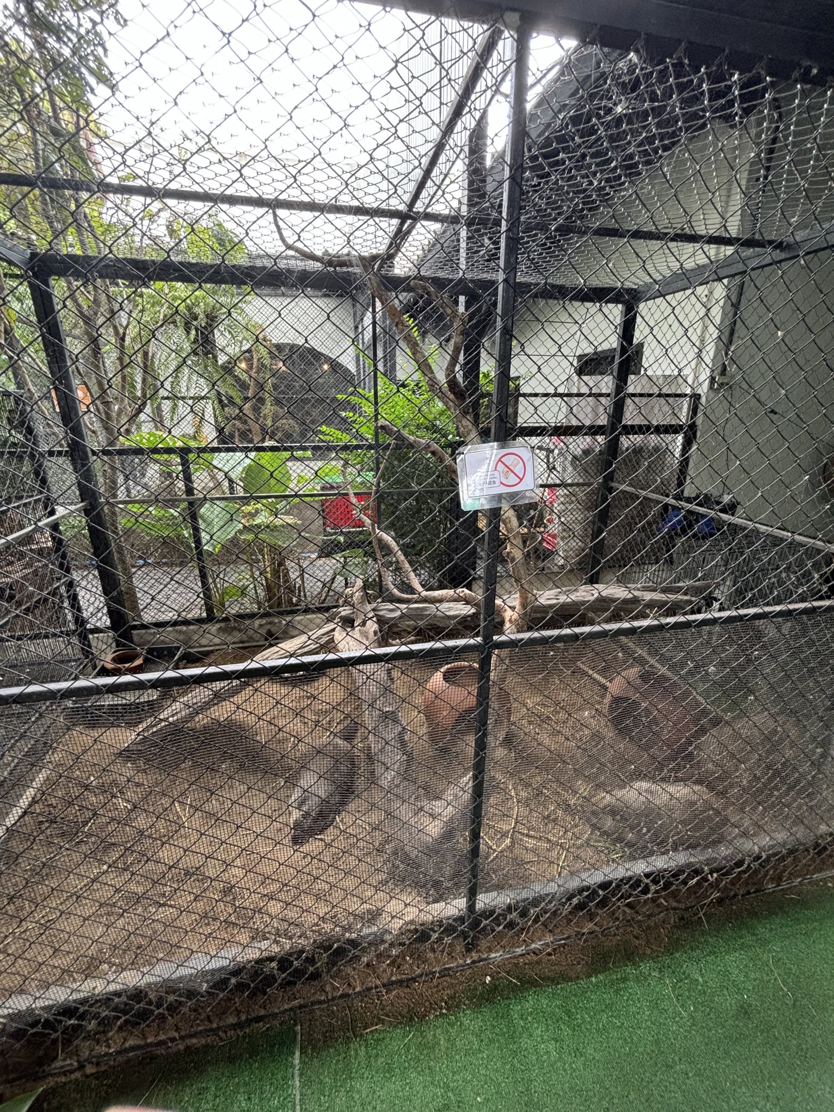 Marmot Exhibit - Lanna Mini Zoo