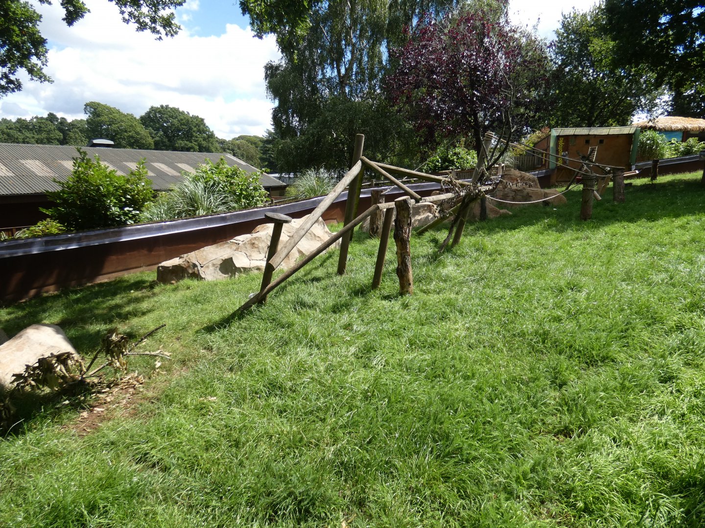 Marmotopia (Common Marmoset and Agouti enclosure)