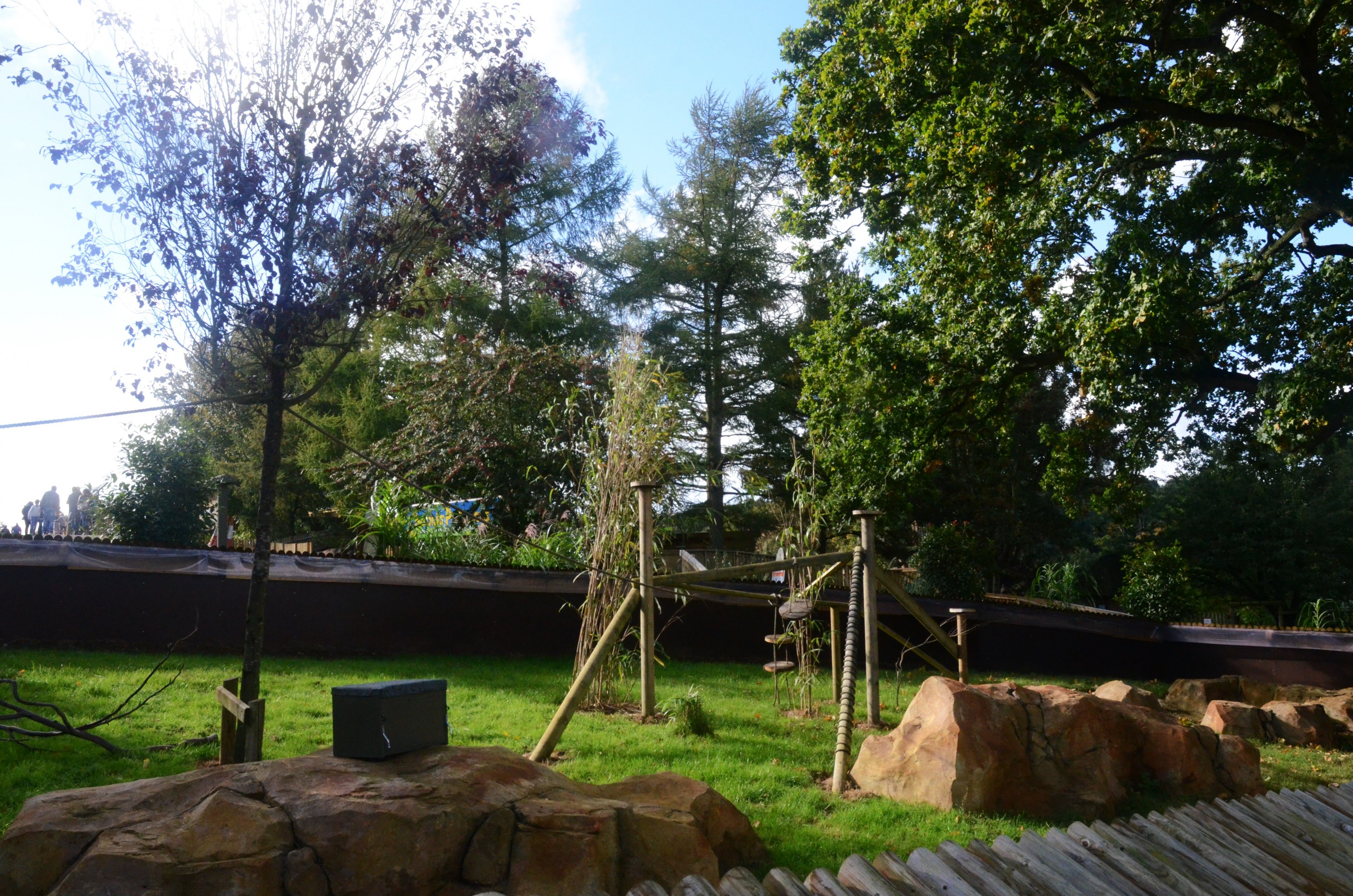'Marmotopia' - Common Marmoset Exhibit at Woburn Safari Park, 16/10/16