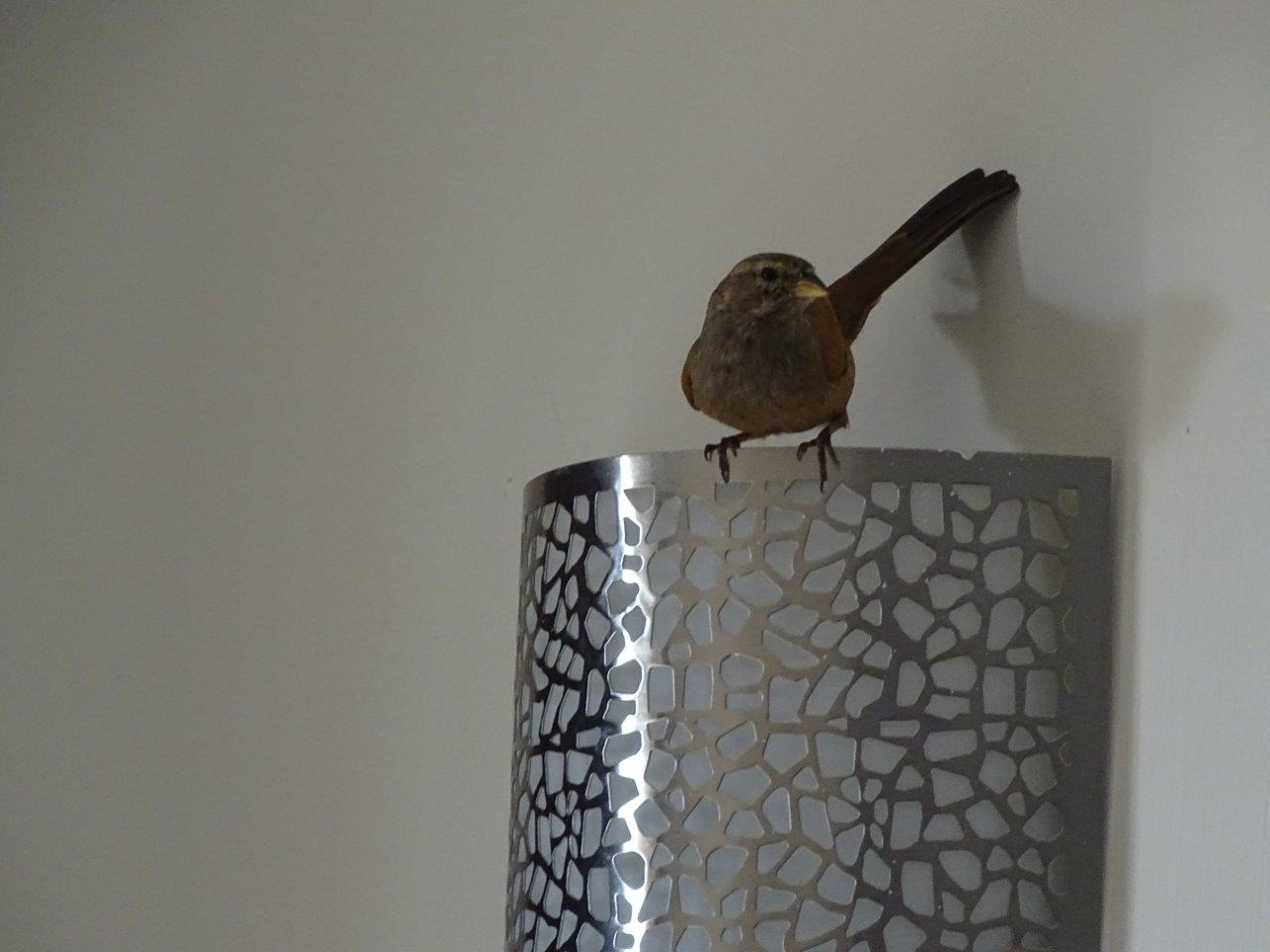 Marrakesh - House bunting