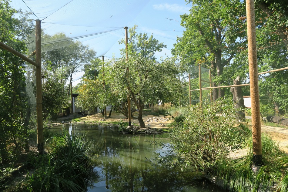 Marsh aviaray - oct 2023