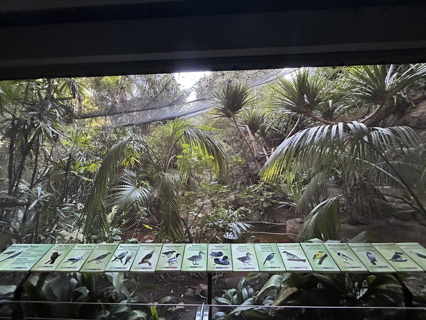 Marsh Aviary - Tiger River