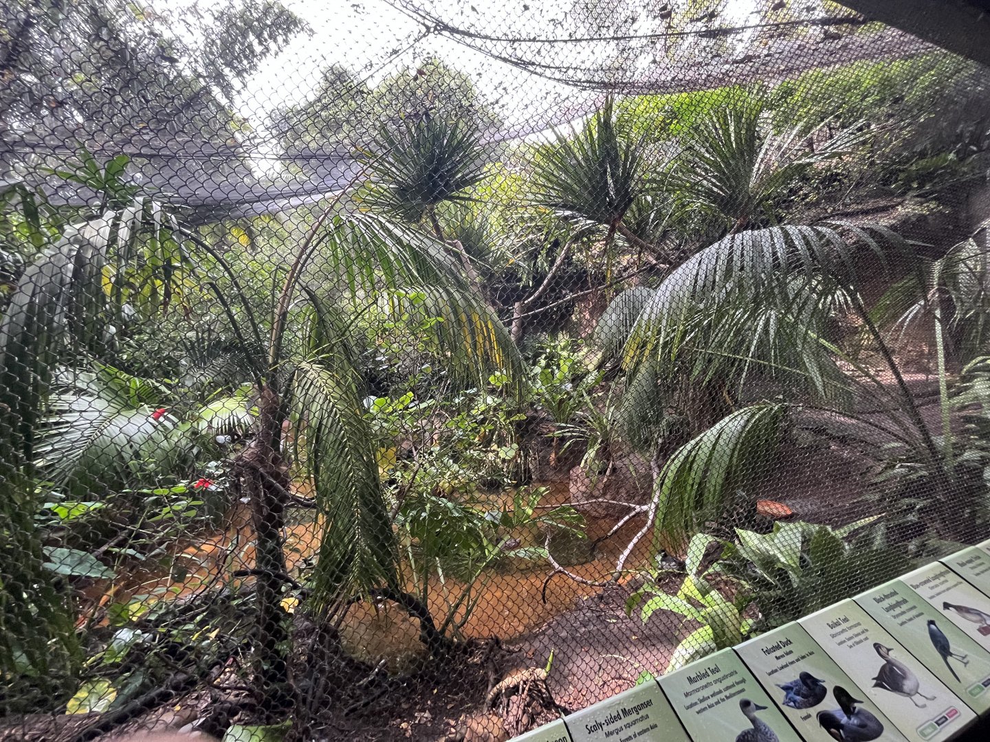 Marsh Aviary(Tiger River)