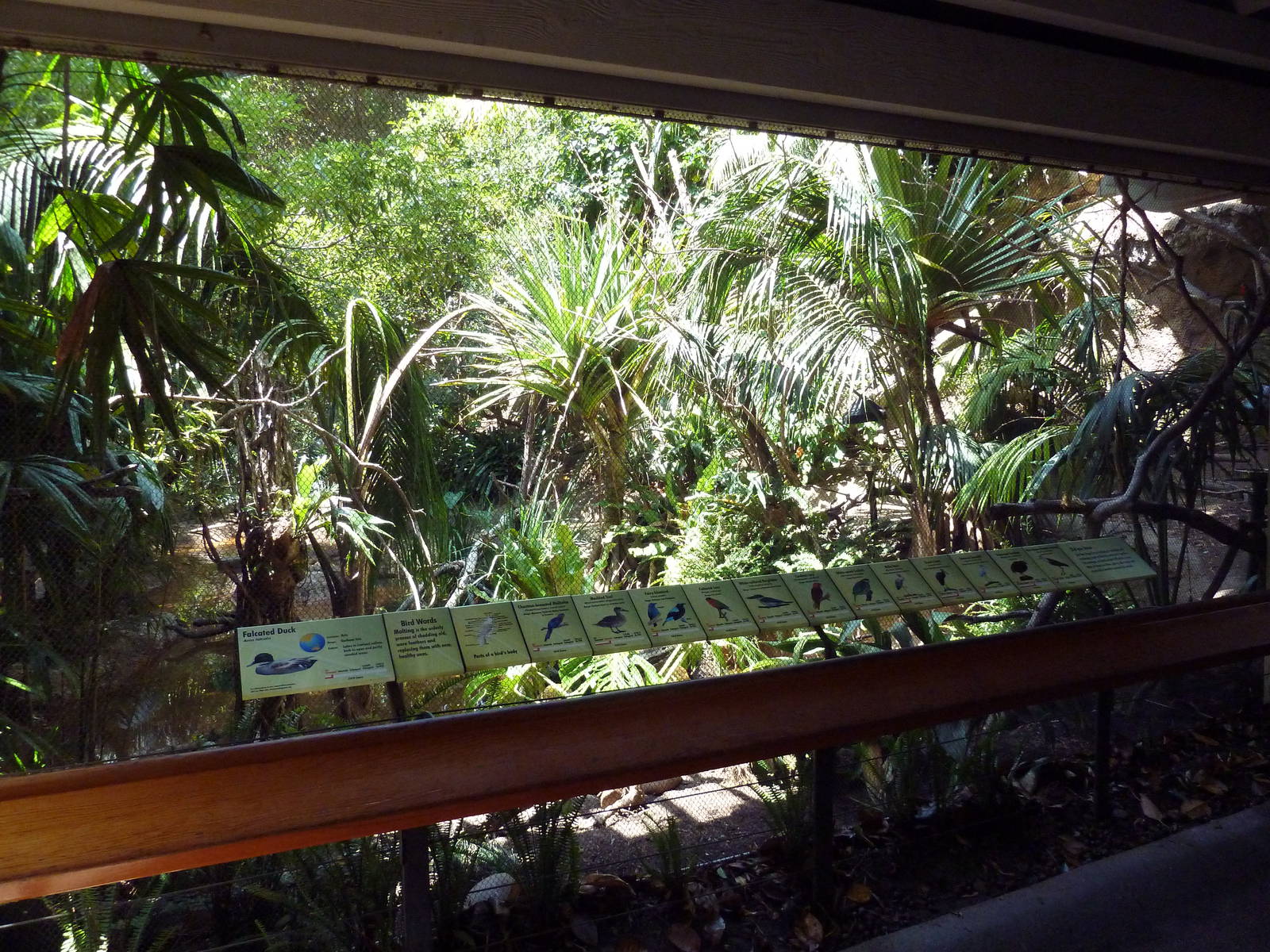 Marsh Aviary