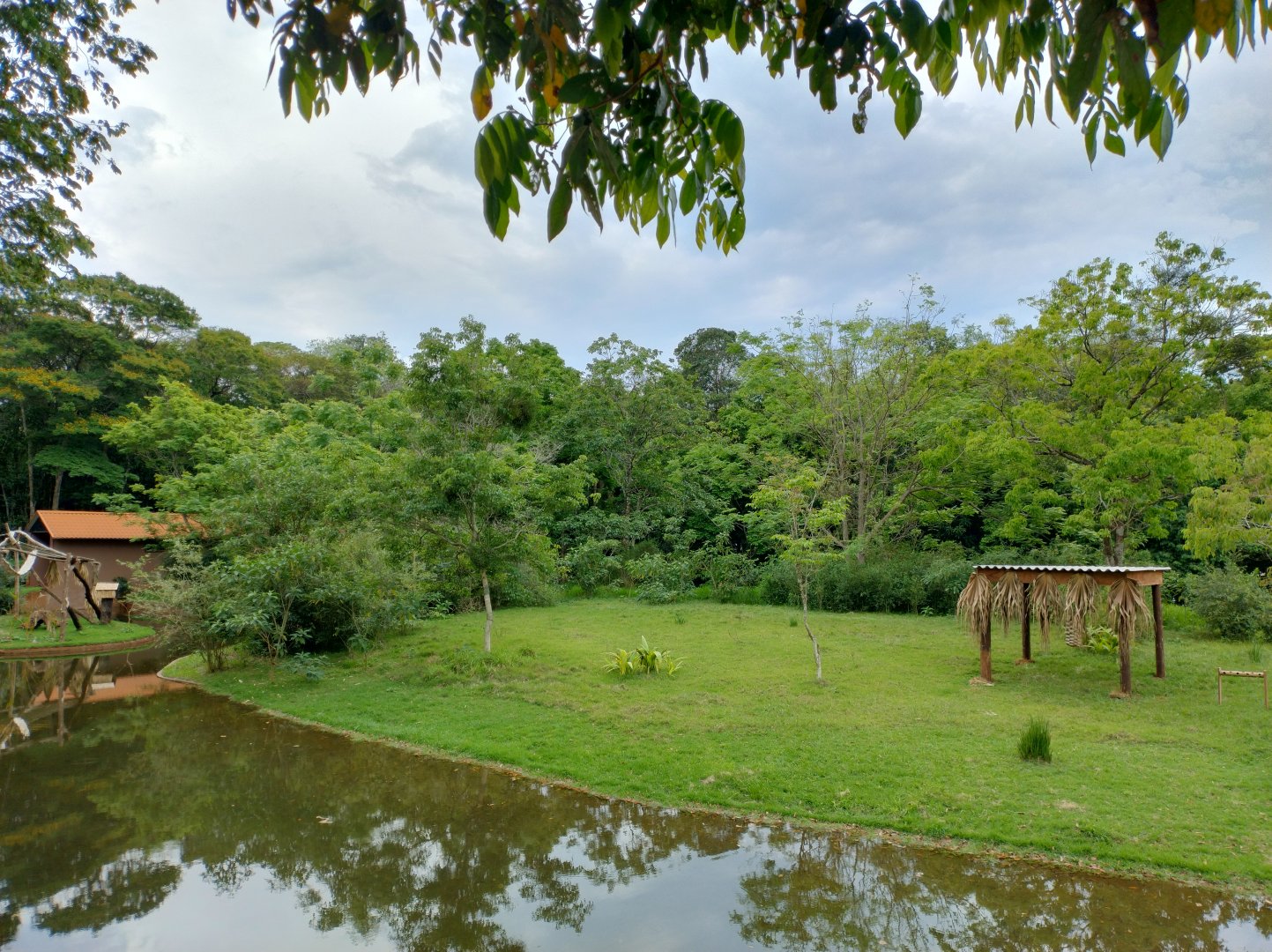 Marsh deer exhibit - RBBV (ZRRL)