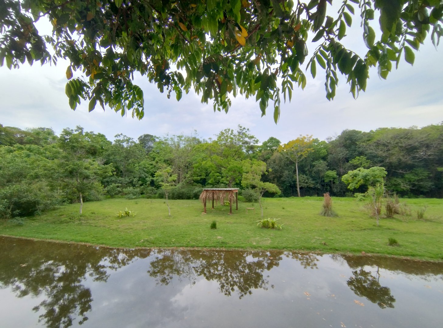 Marsh deer exhibit - RBBV (ZRRL)