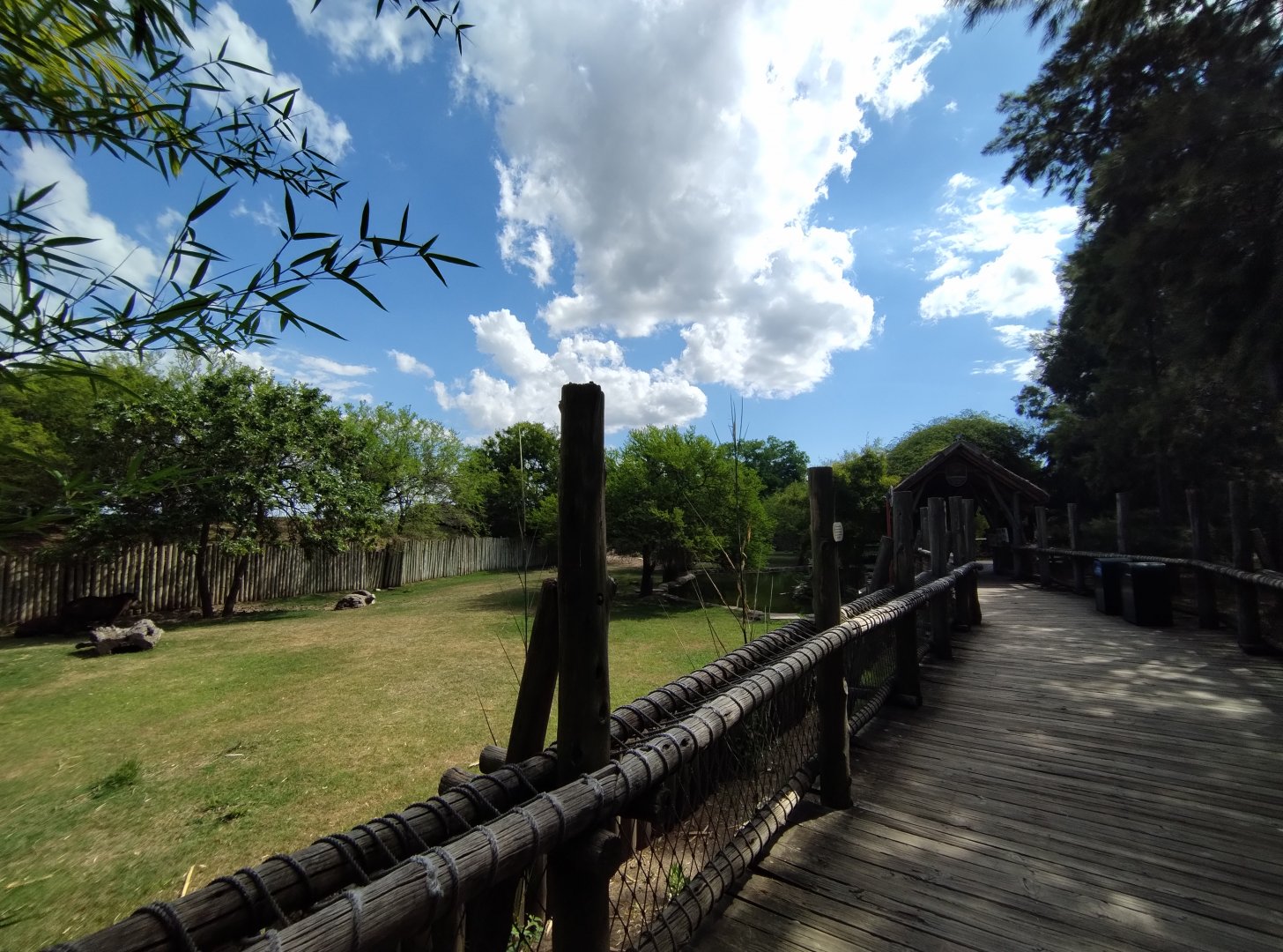 Marsh exhibit - Temaiken