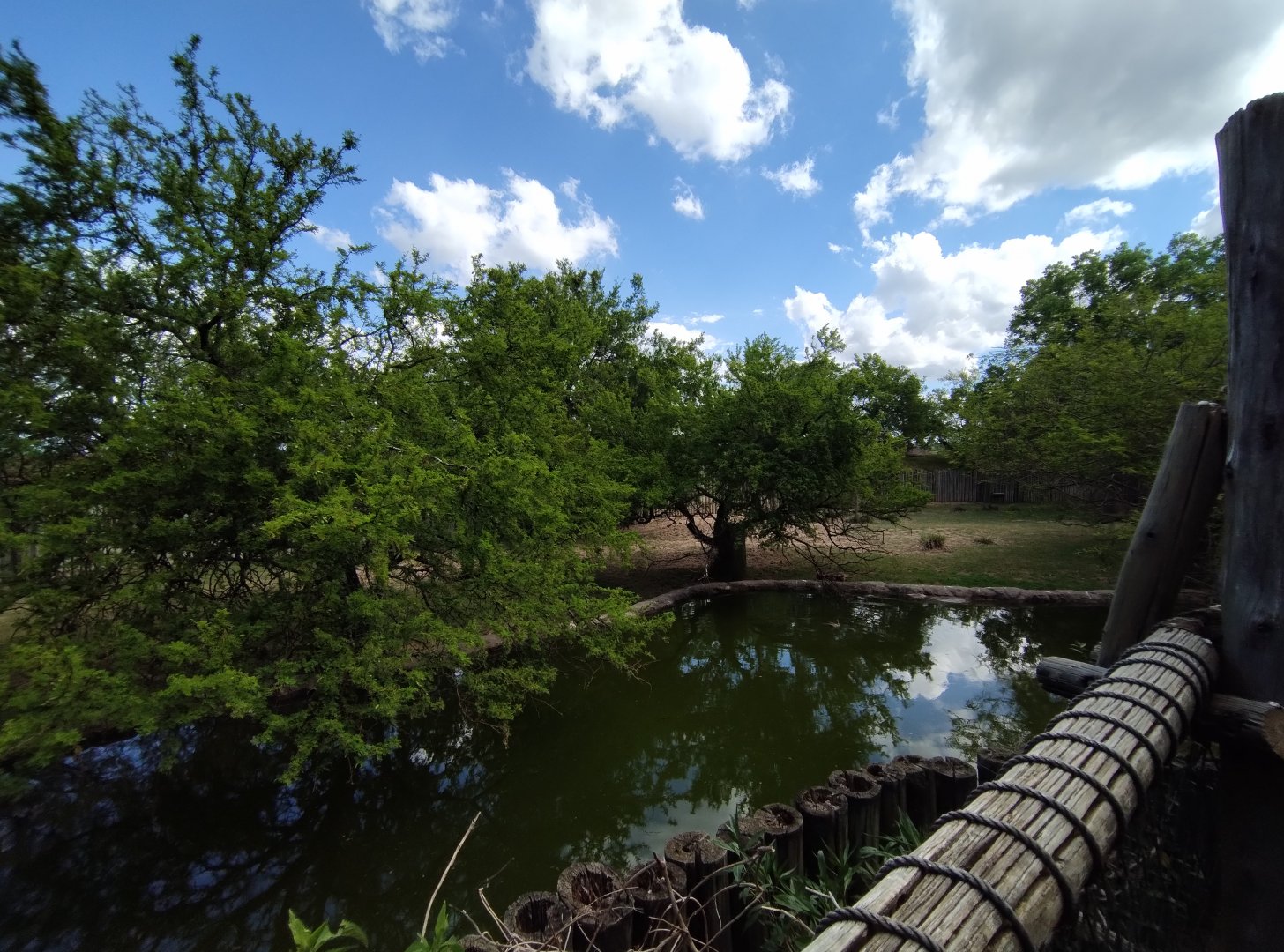 Marsh exhibit - Temaiken