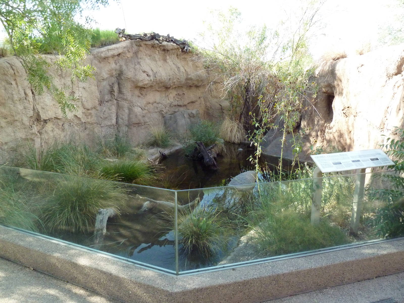 Marsh Exhibit