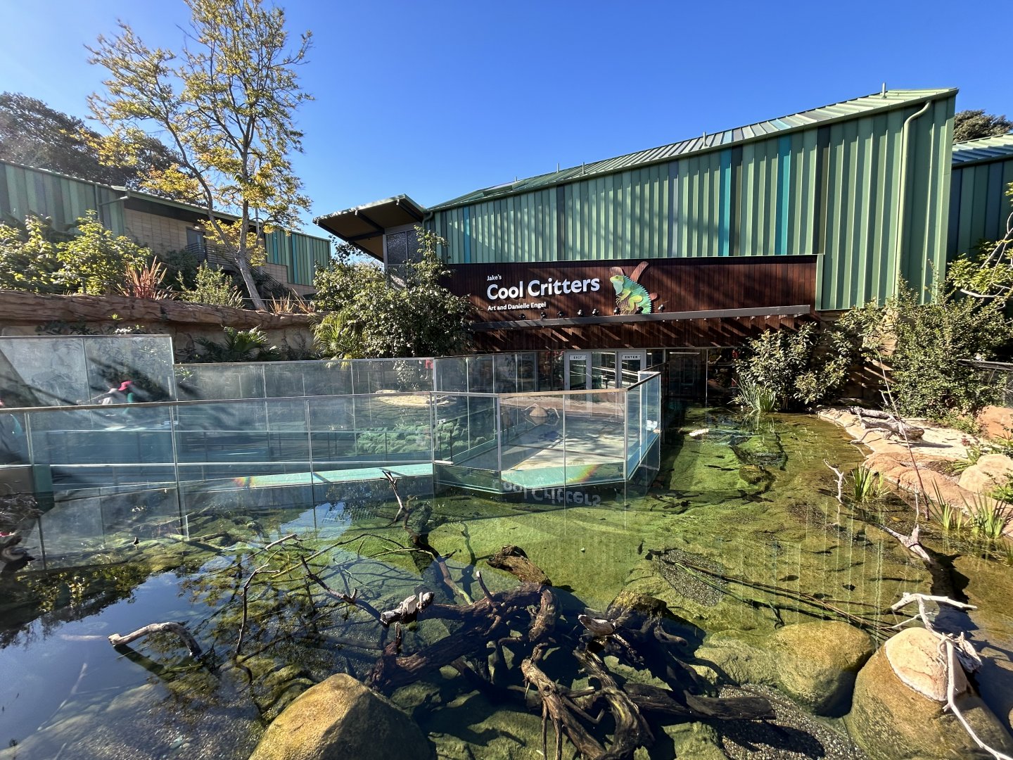 Marsh Exhibits + Cool Critters - Wildlife Explorers Basecamp