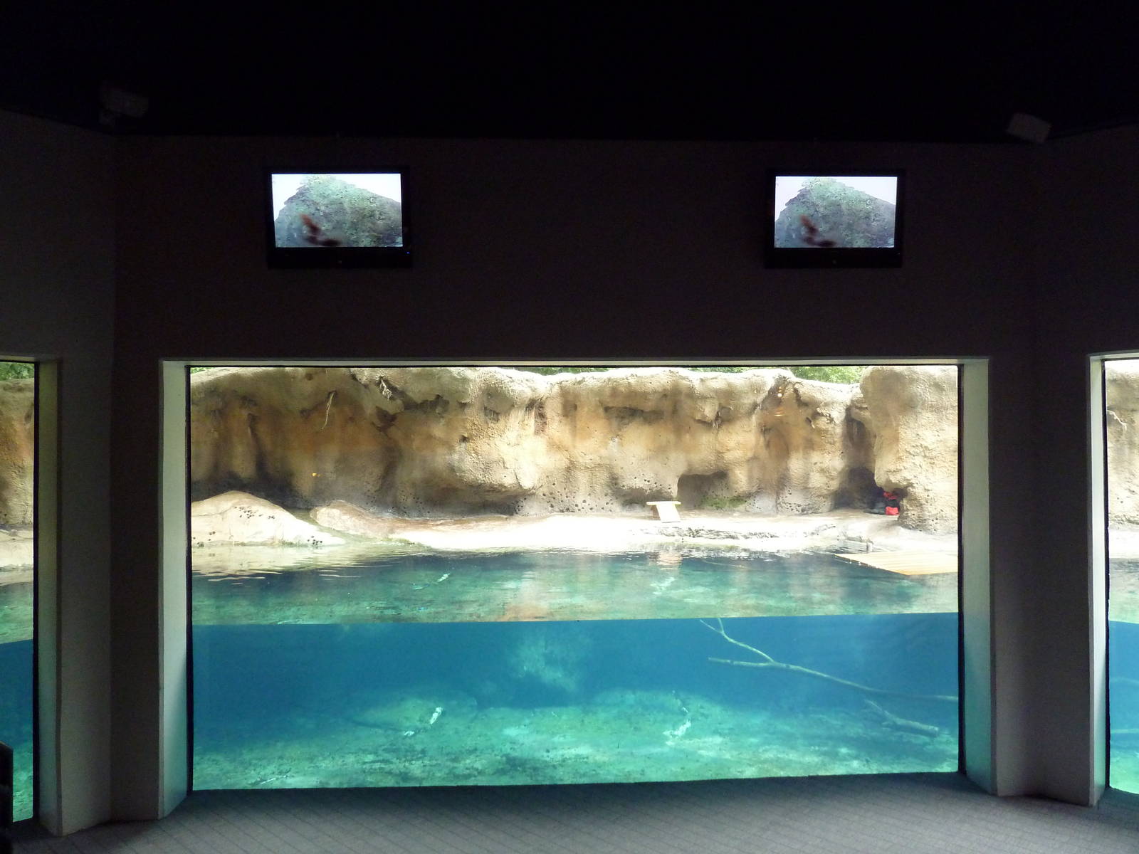 Marsh Pavilion - River Otter Exhibit