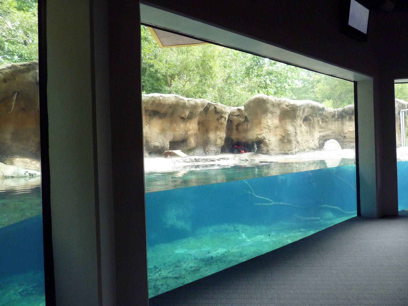 Marsh Pavilion - River Otter Exhibit