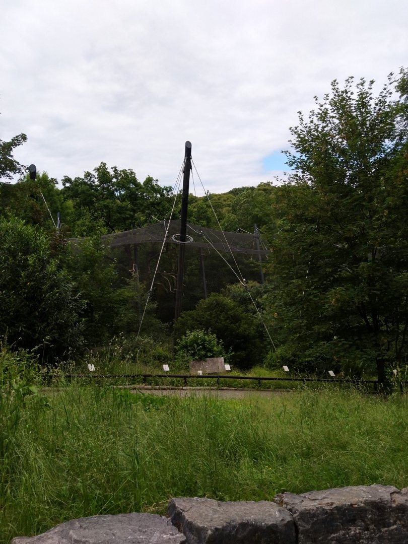 Marshland aviary seen from uphill path
