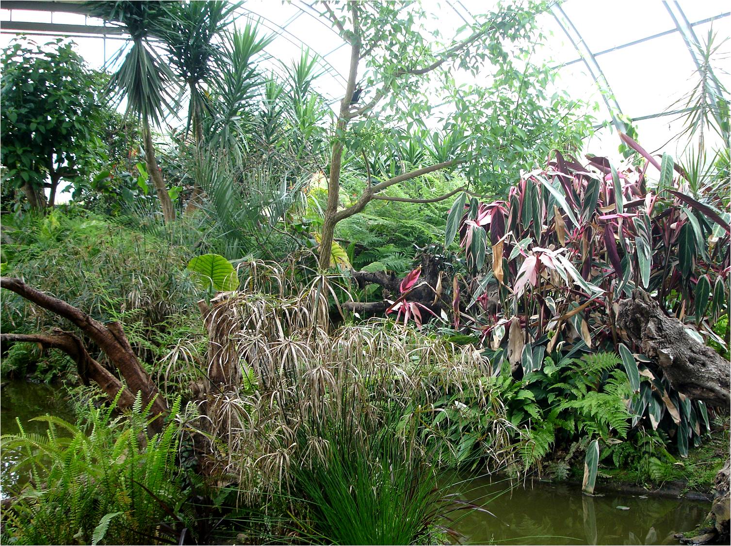 Marshland Exhibit at Parque Biológico de Gaia, 20/04/11