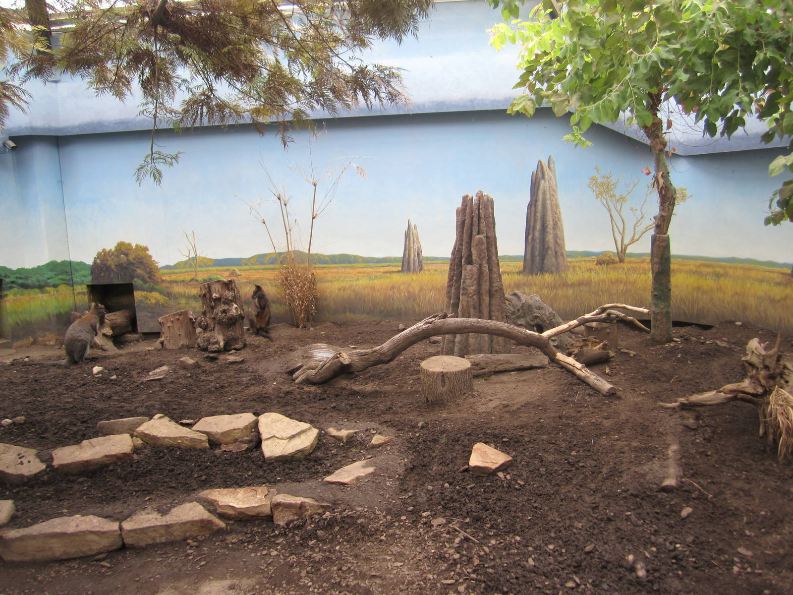 Marsupial/Monotreme Exhibit