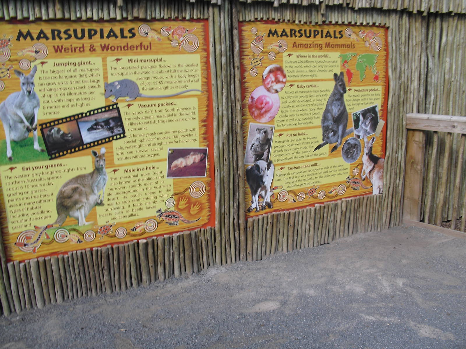 Marsupial Signage - 01/10/2011