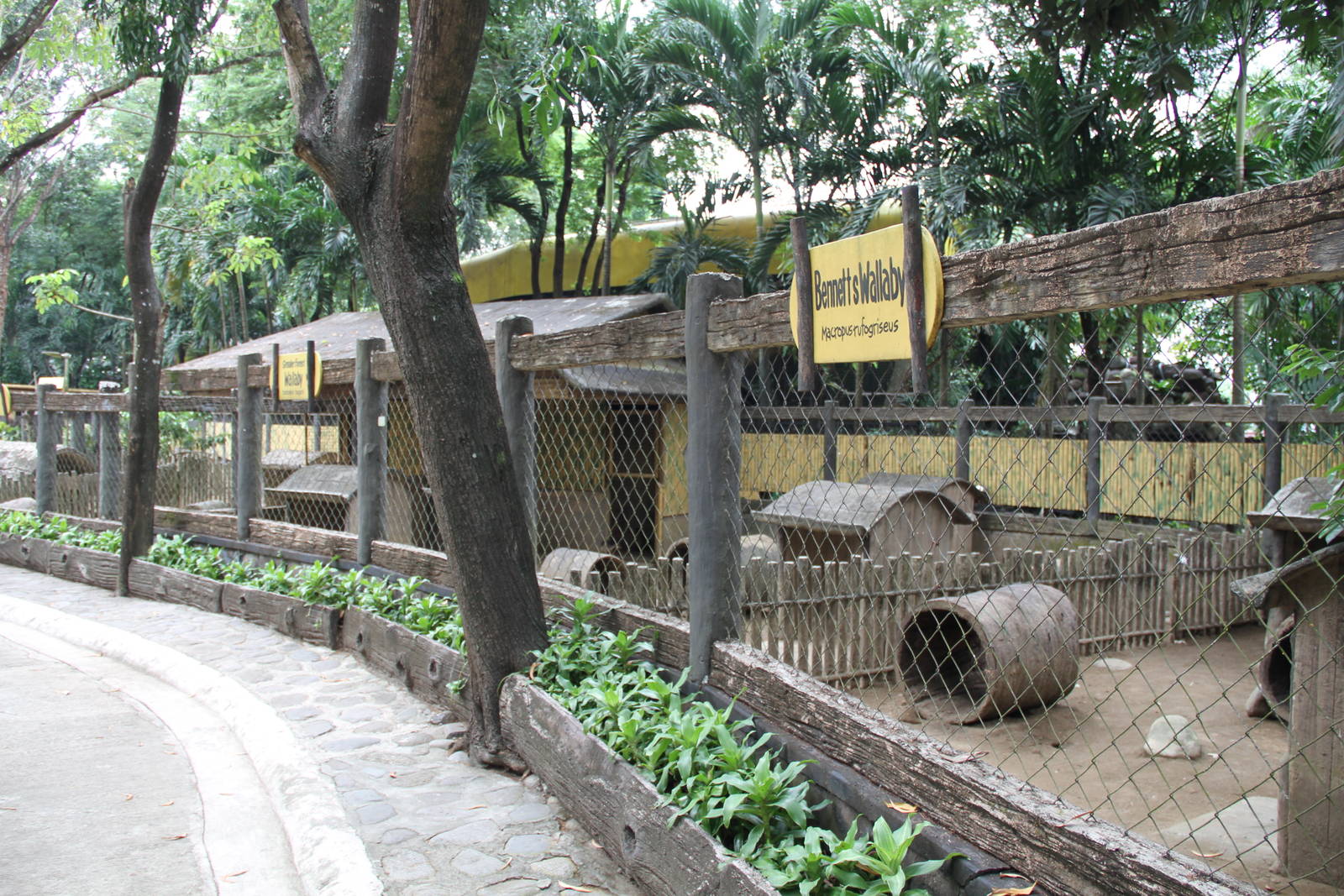 Marsupials' enclosures