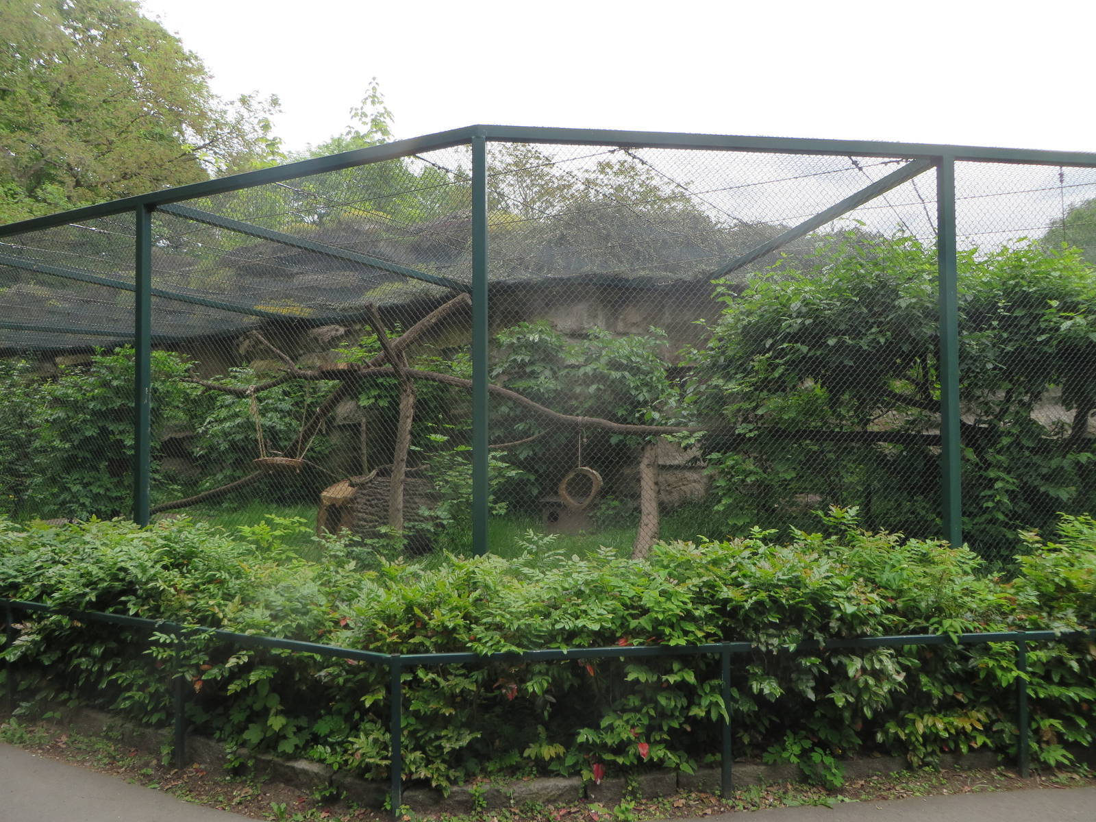Marten enclosure