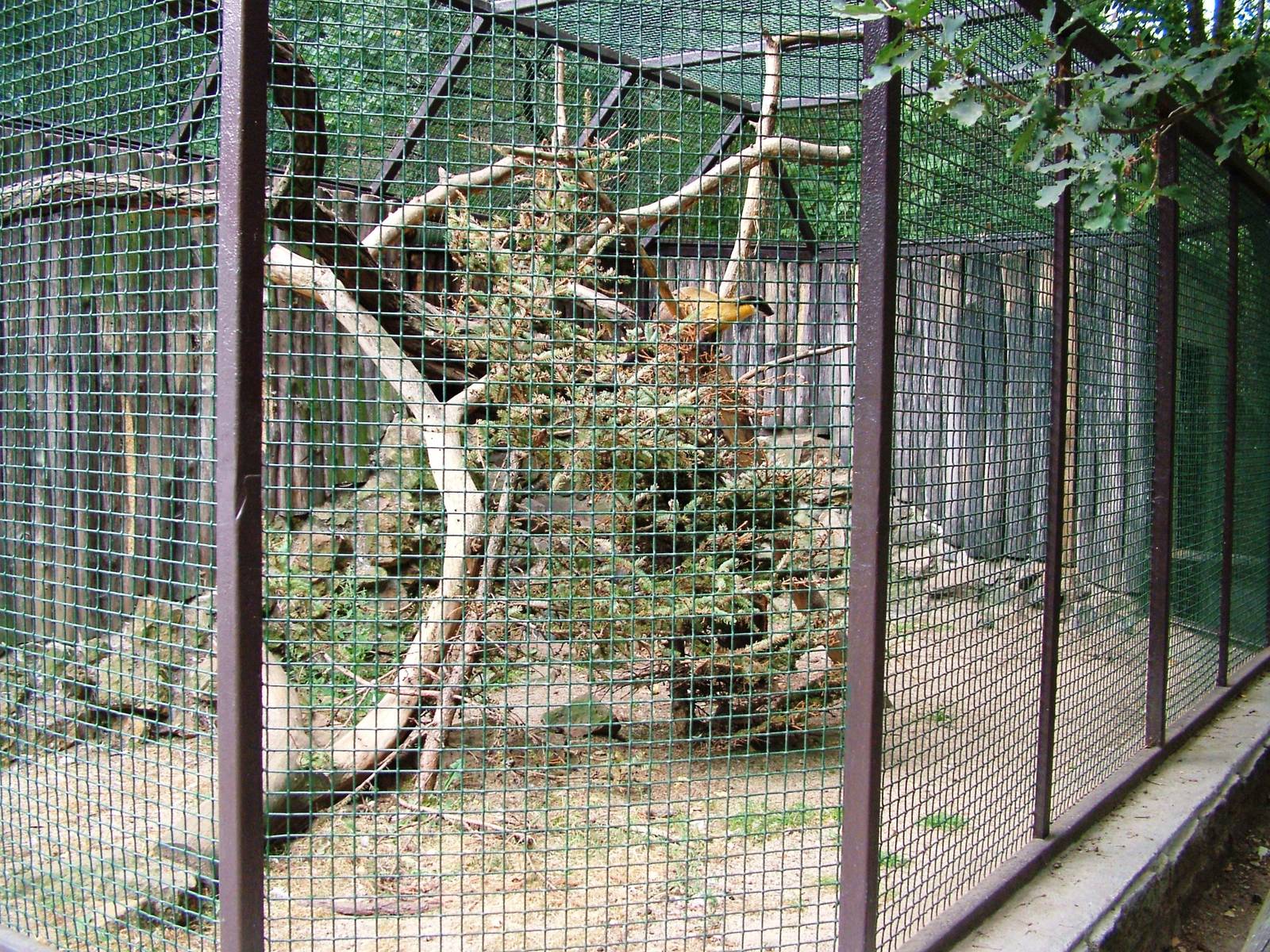 Marten Exhibit at Chomutov, 30/08/12