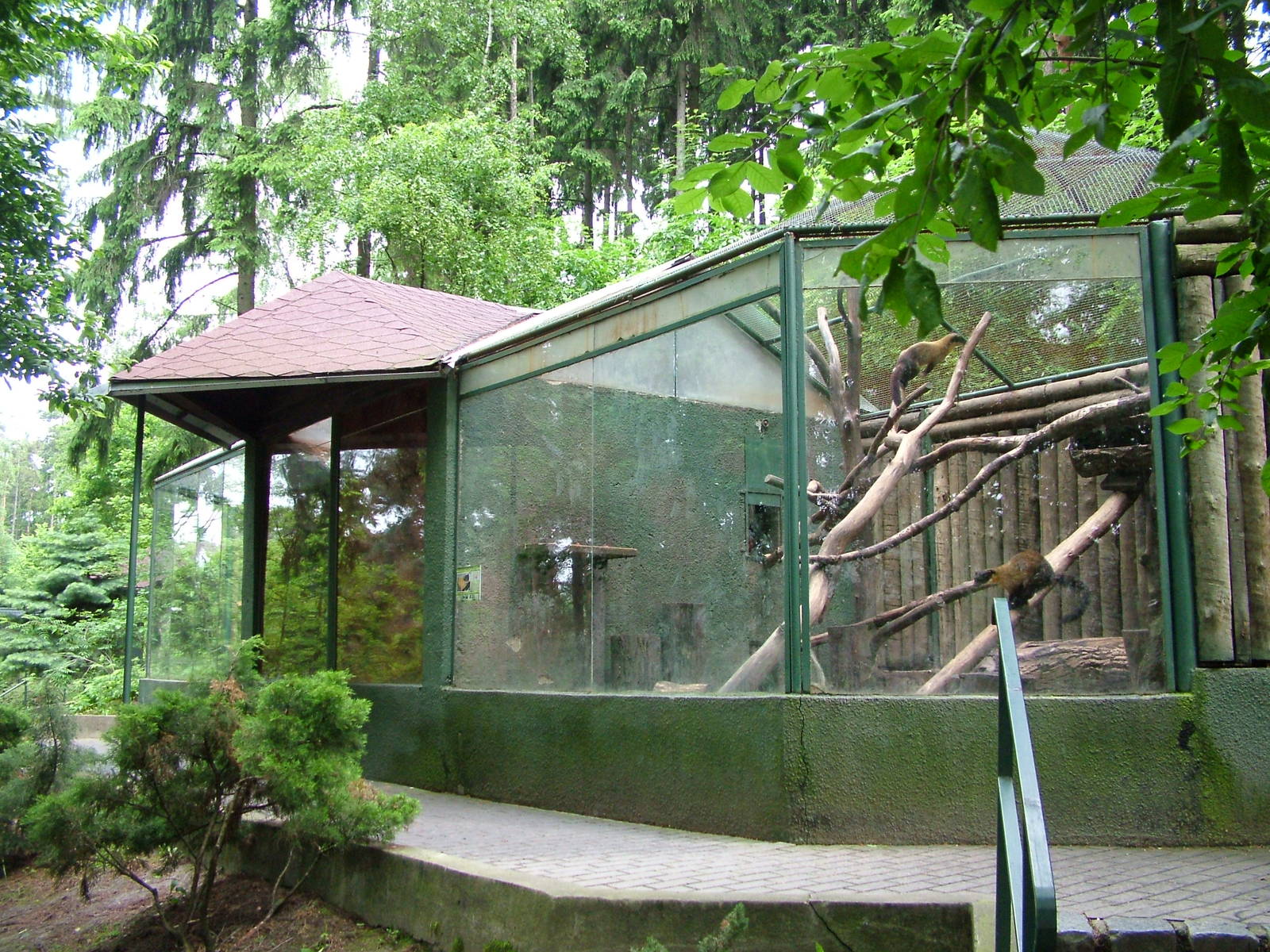 Marten exhibit at Olomouc 30/05/10