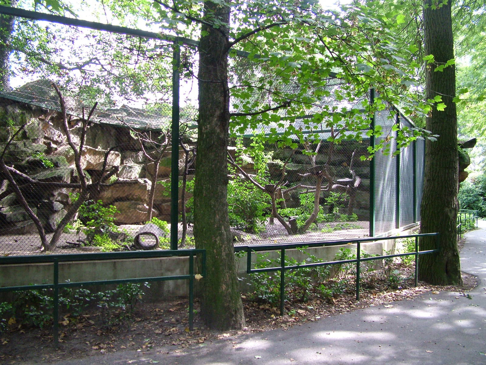 Marten Exhibit at Tierpark Berlin, 30/08/11
