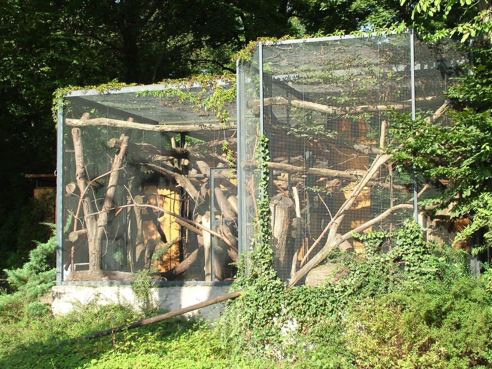 Marten Exhibits at Dresden, 29/08/12