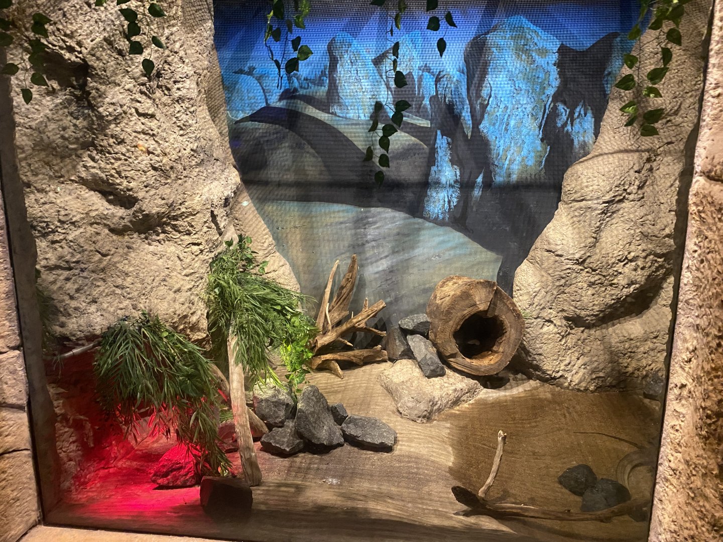 Marten’s Water Monitor Exhibit