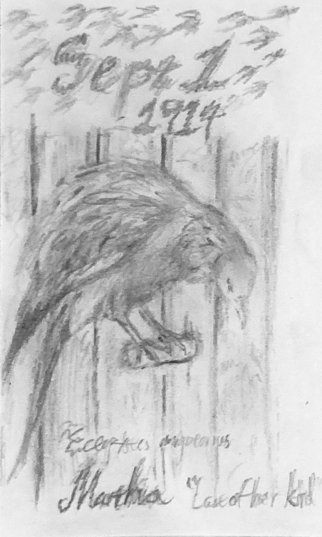 Martha—“Last of her kind”