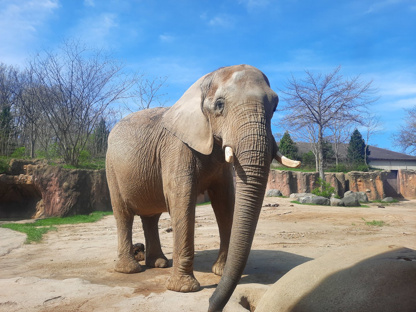 Martika from the Kjope Viewing