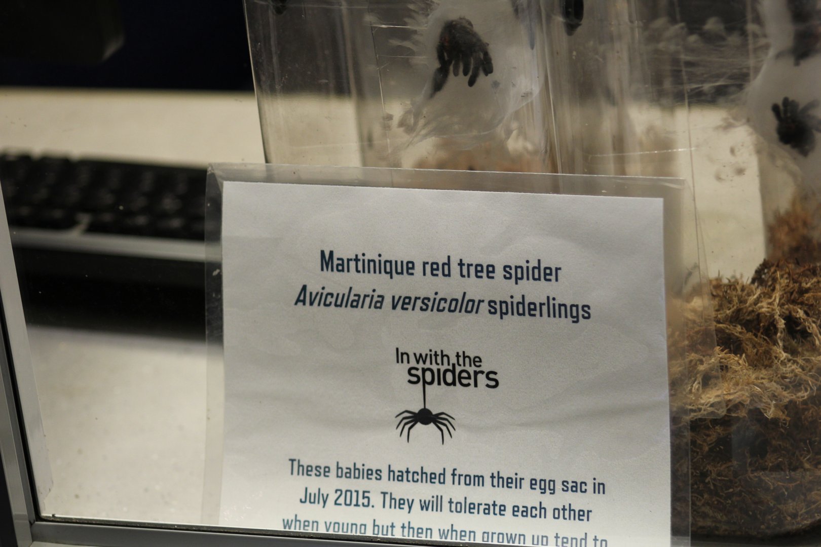 Martinique Pinktoe Tarantula Signage
