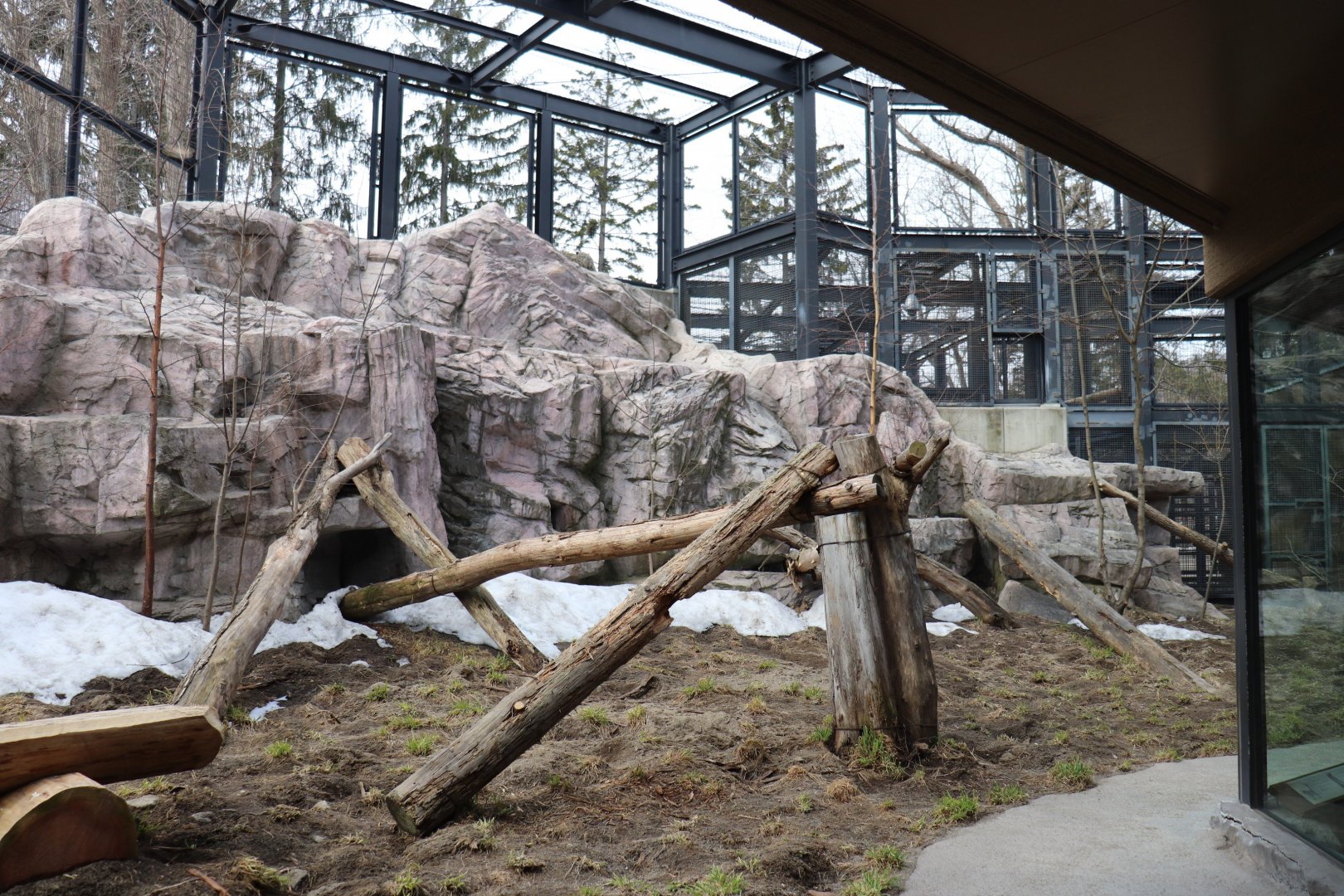 Maruyama Zoo Snow Leopard exhibit