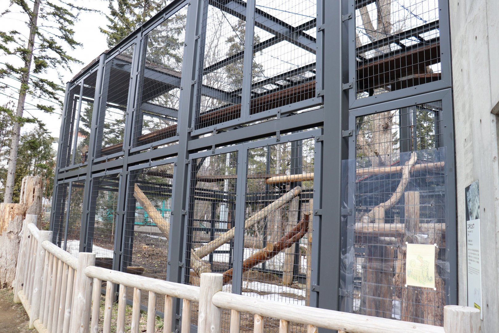Maruyama Zoo Snow Leopard exhibit