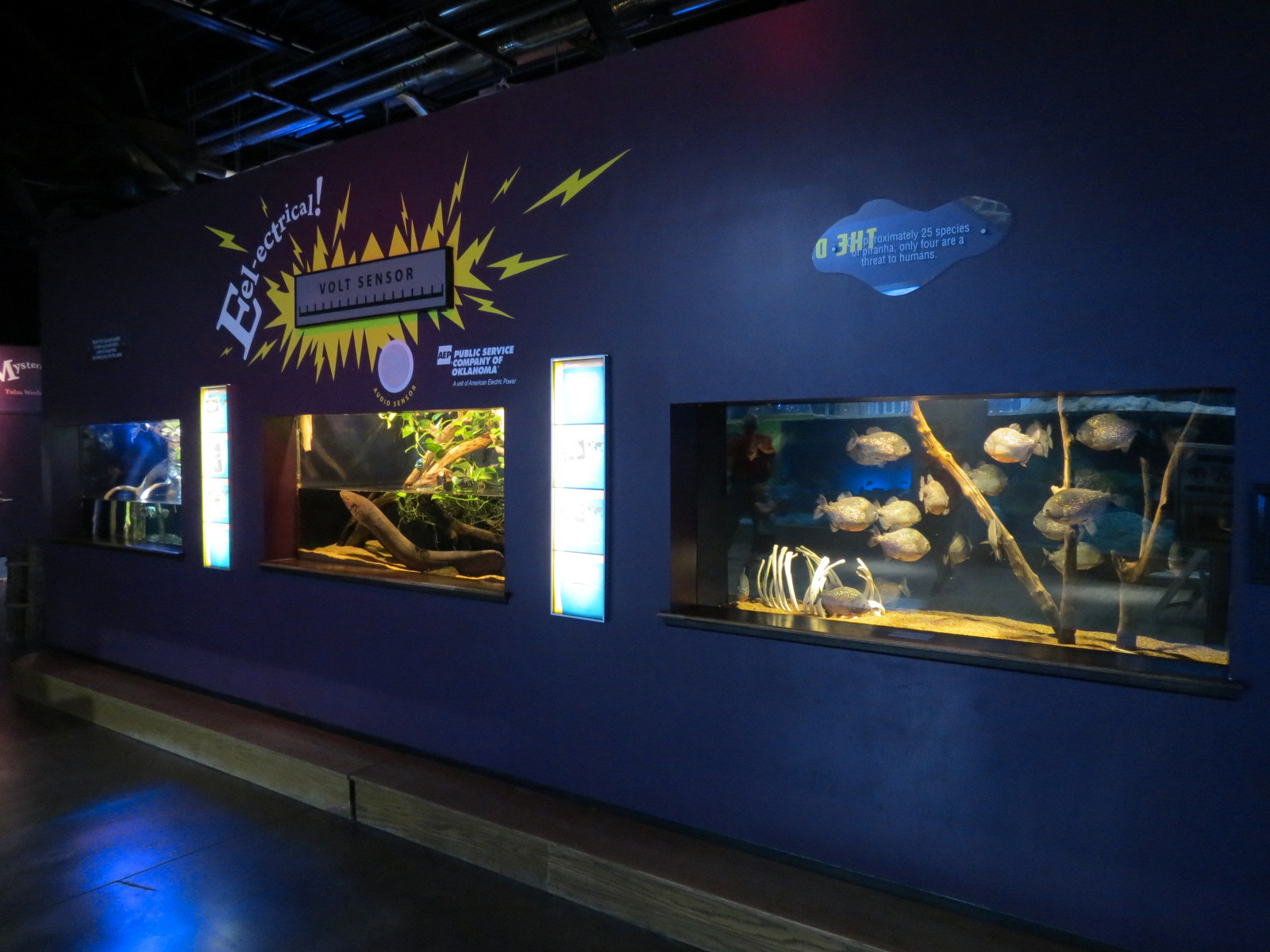 Marvels & Mysteries - Exhibits