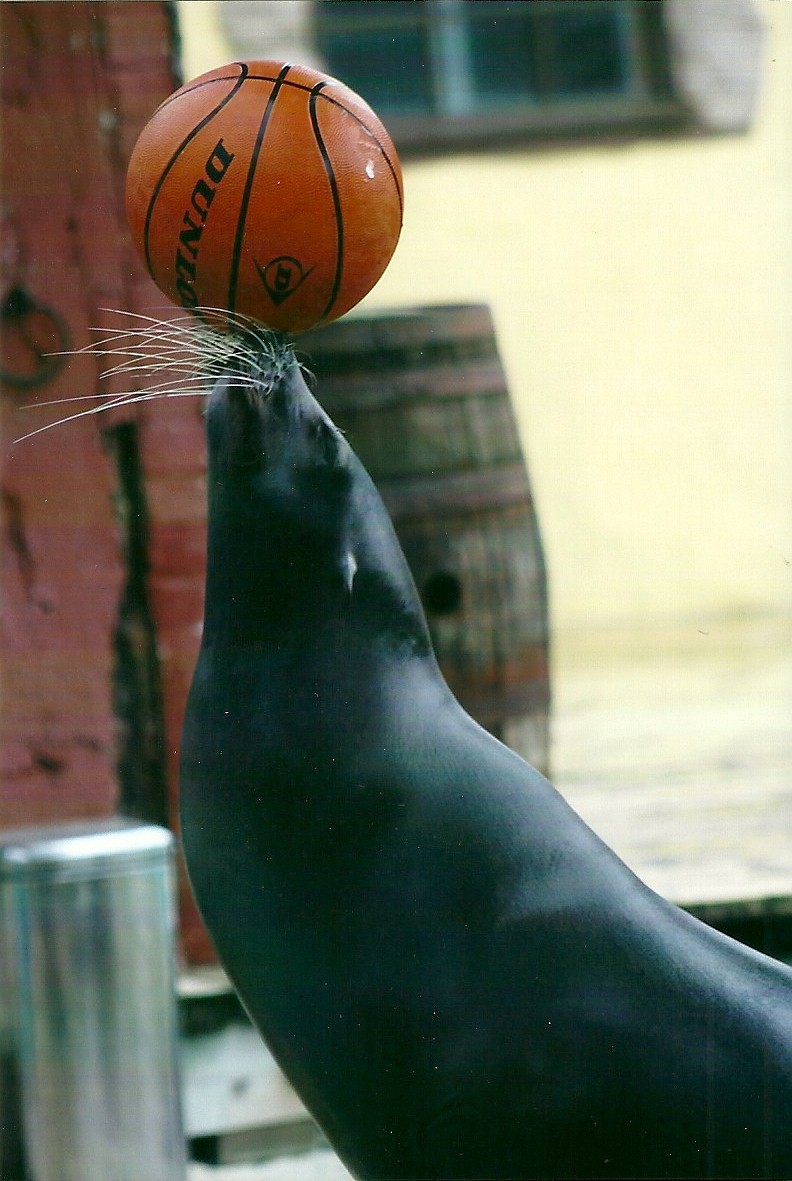 Marvin 27th December 2012