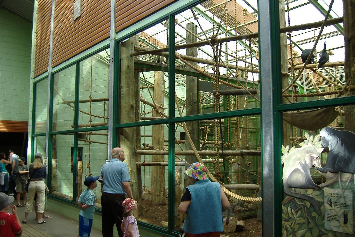 Marwell Diana Monkey exhibit interior
