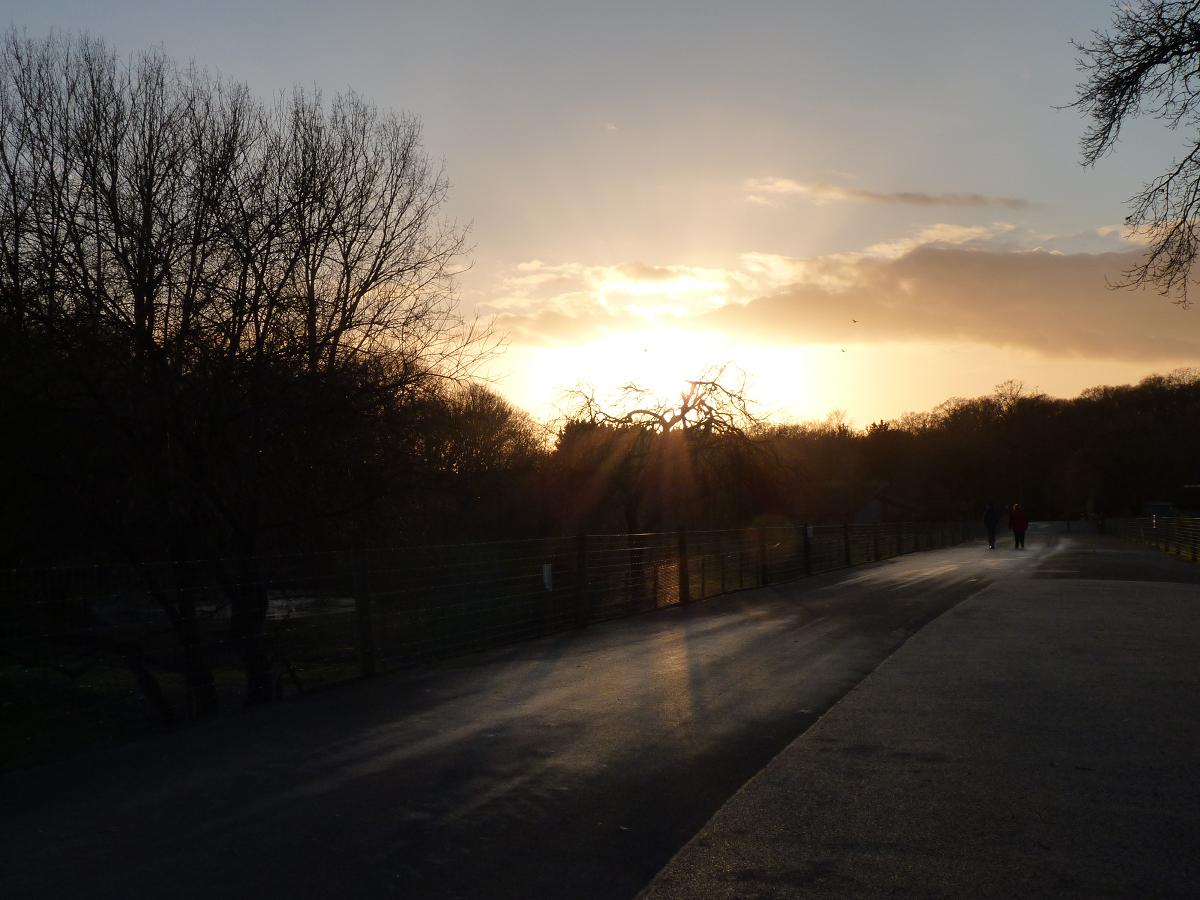 Marwell in the Sunset