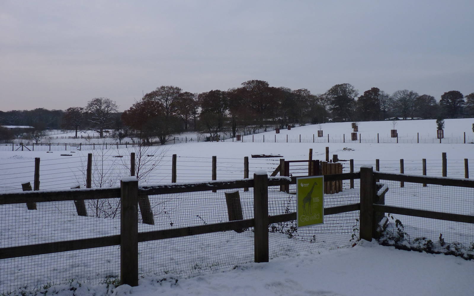 Marwell Snowed Over