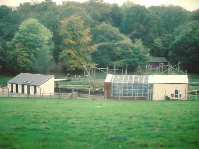 Marwell Sulawesi Macaque house1