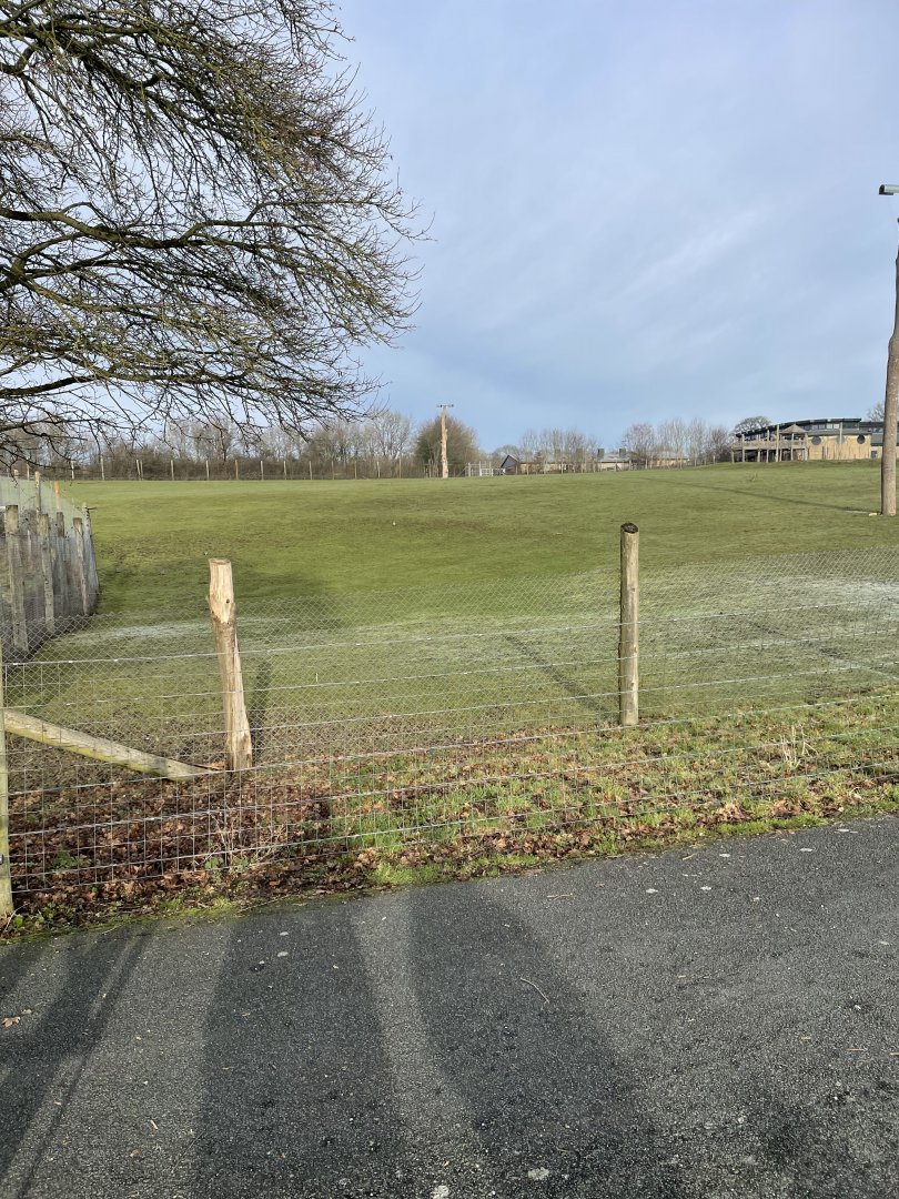 Marwell Zoo January 2023 - Giraffe paddock