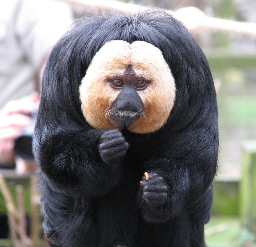 Marwell Zoo March 2007