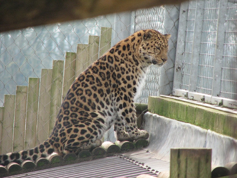 Marwell Zoo March 2007