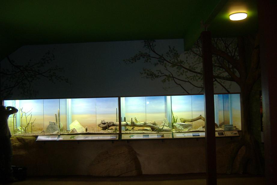 Marwell's new reptile house, Summer 2007