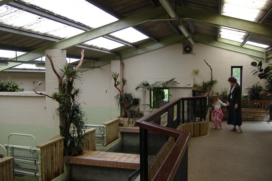 Marwell's Semi-aquatic Mammal House, Summer 2007