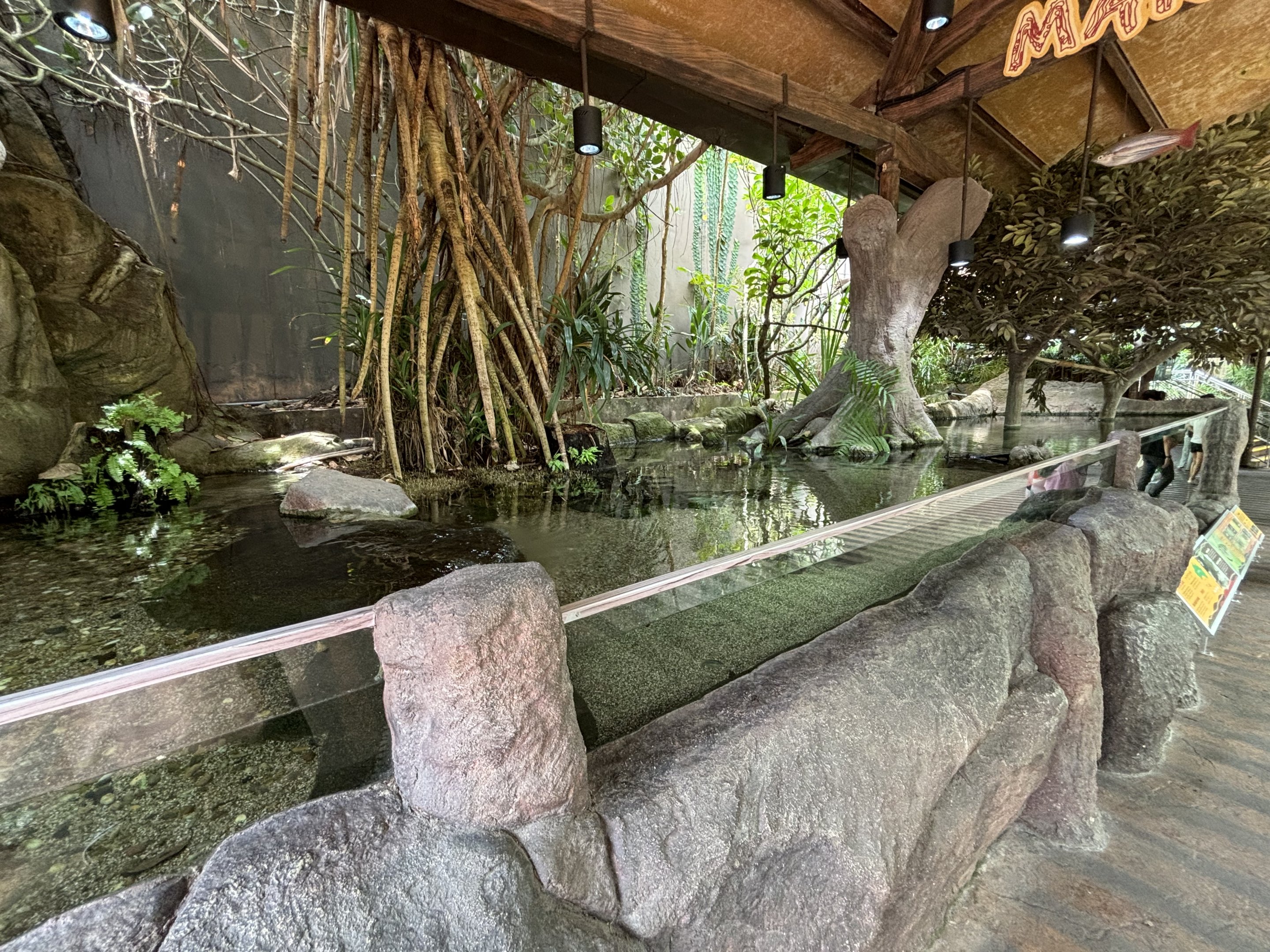 Mary River Tank (3 species)