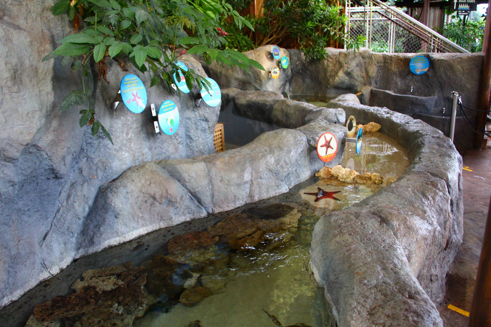 Mary River zone - Touchpool