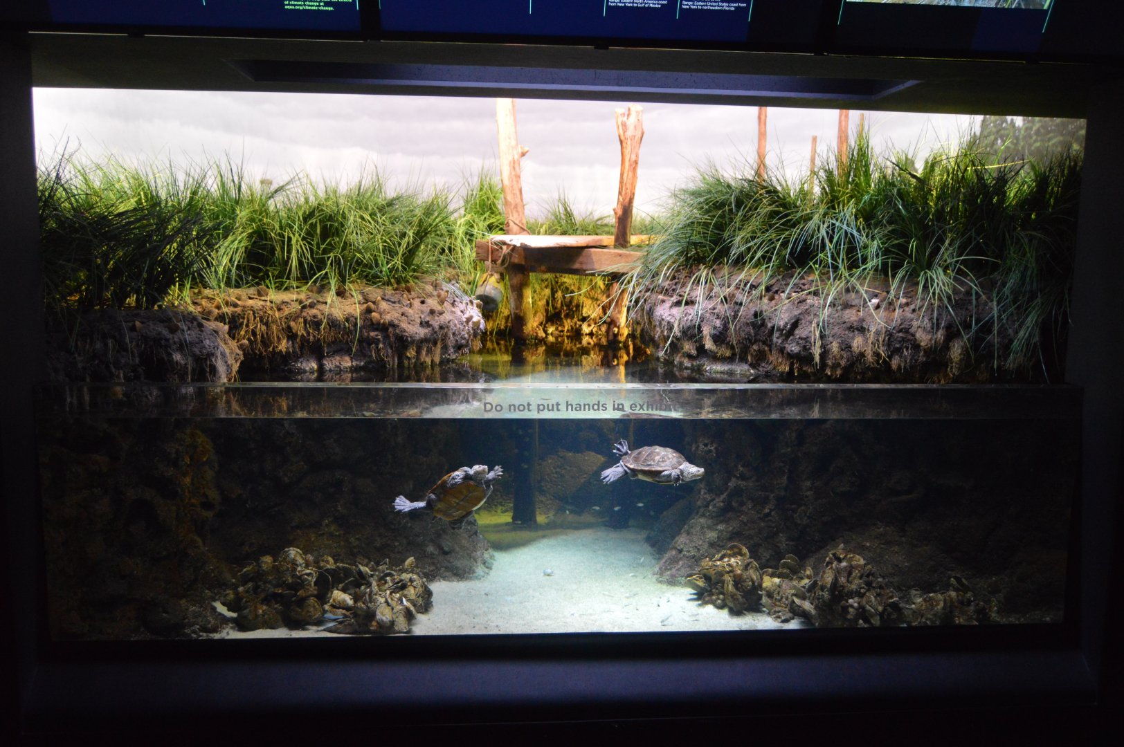 Maryland Mountains to the Sea - Chesapeake Marsh Exhibit