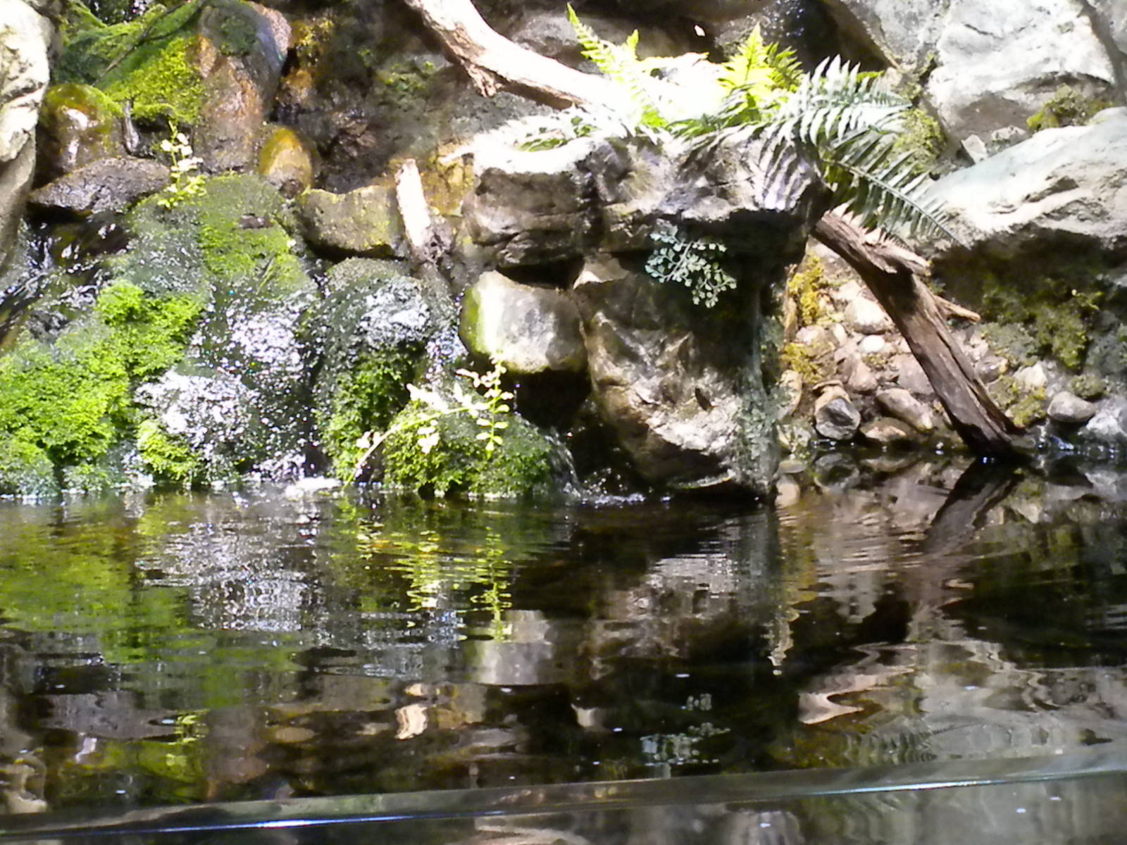 Maryland: Mountains to the Sea